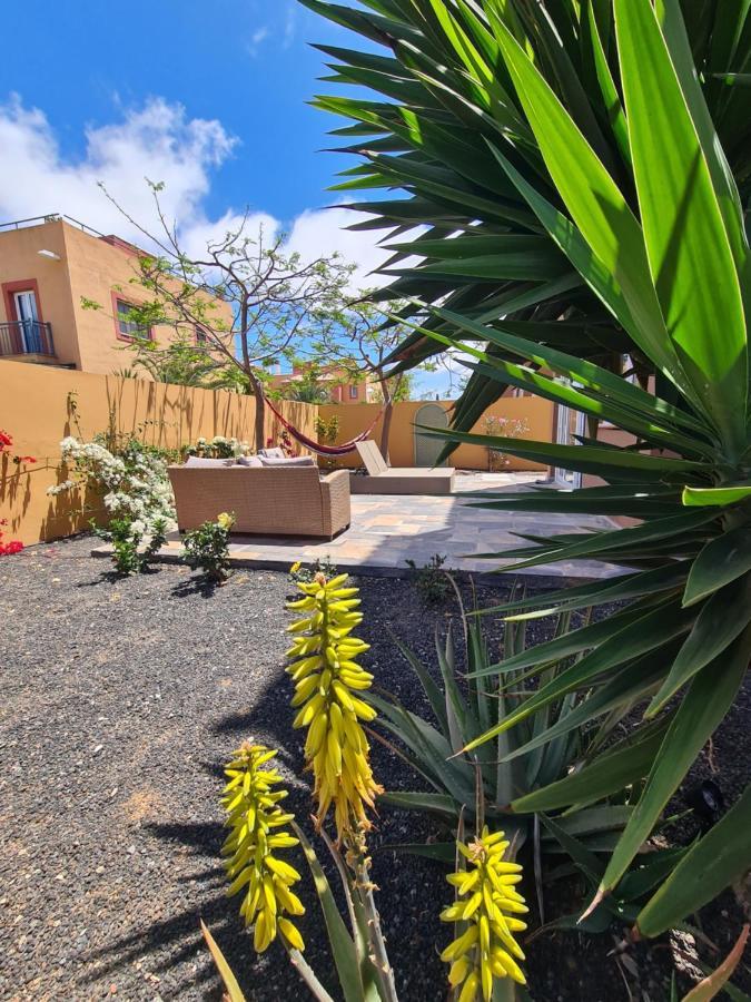Casa Zalla 110M2, 200M2 Garden, Pool, 1Gb Wi-Fi, Private Parking Corralejo Exteriör bild